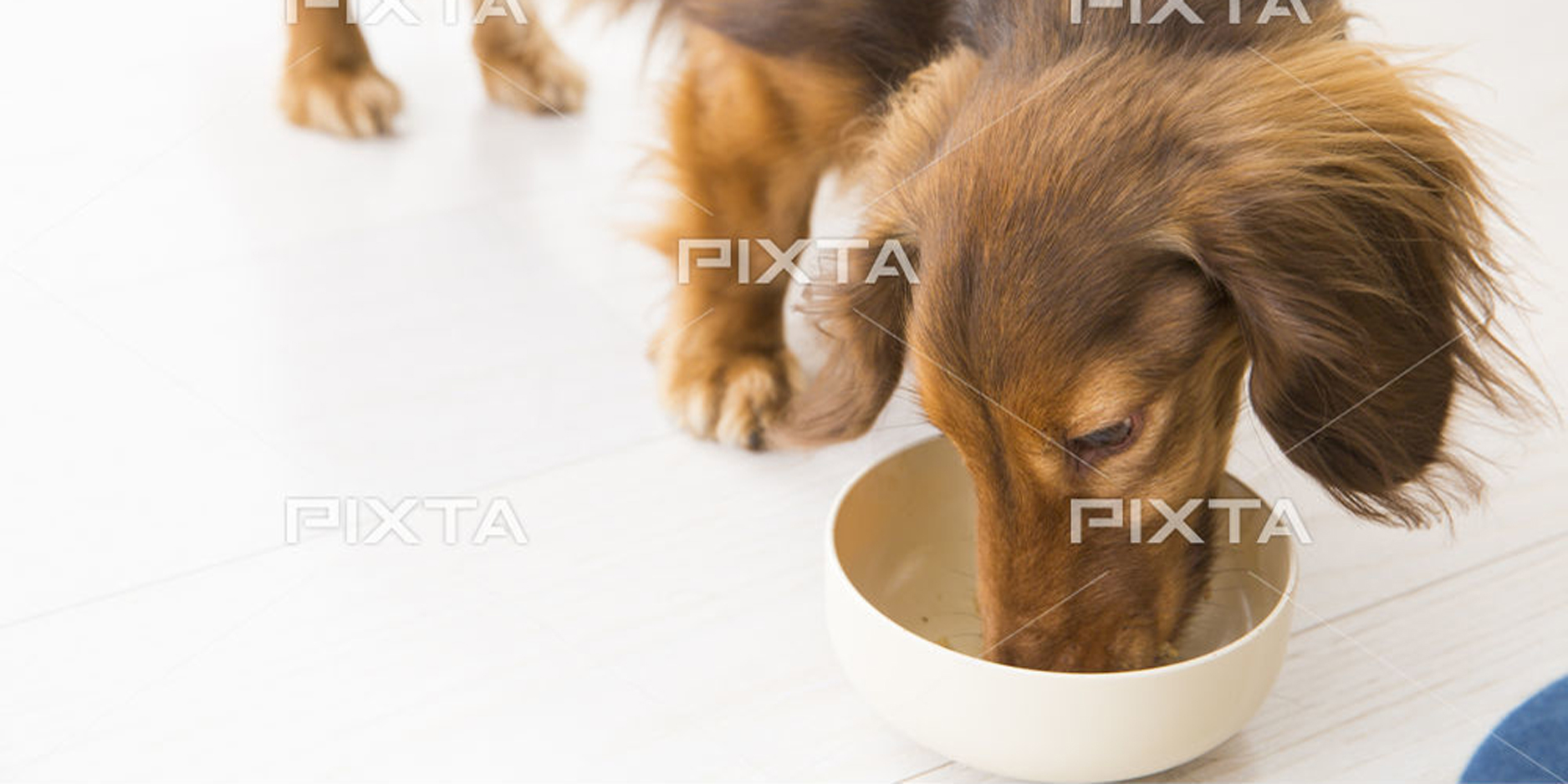 カプセルを割って : 